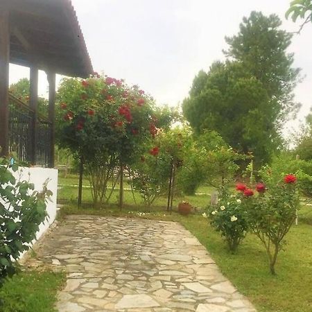 Katerina'S Holiday Home Kriopigi Dış mekan fotoğraf