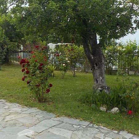 Katerina'S Holiday Home Kriopigi Dış mekan fotoğraf